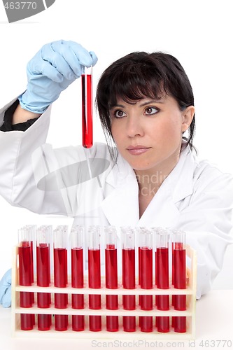 Image of Scientist with test tubes