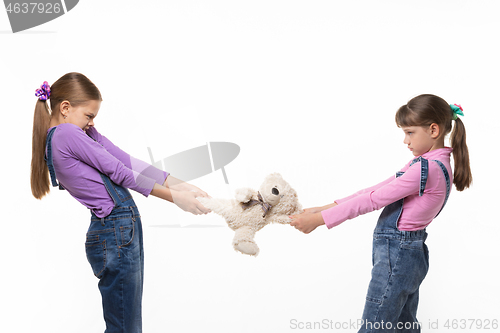 Image of Girls pull teddy bear at each other on white background