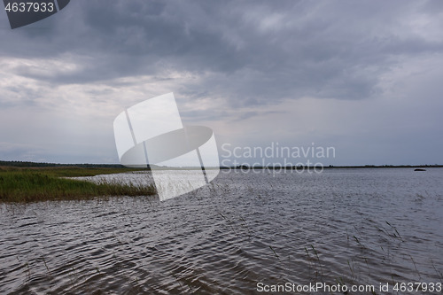 Image of Nature reserve pape lake in rain