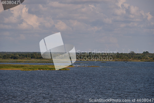 Image of Peaceful Liepaja Lake in summer with birds