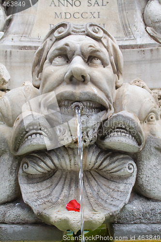 Image of Fountain face with rose petal