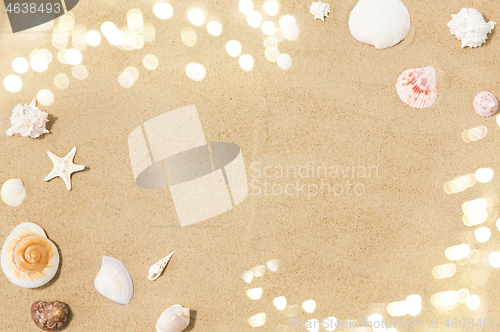 Image of seashells on beach sand