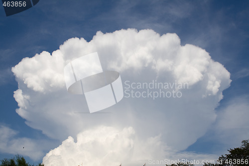 Image of Mushroom cloud