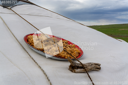 Image of Mongolian gurt from sour milk drying