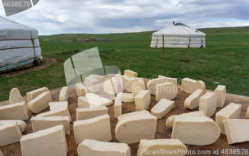 Image of Mongolian gurt from sour milk drying