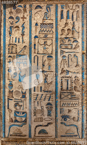 Image of ancient color egypt images on wall