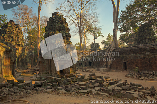 Image of Ta Prohm temple in Angkor Wat Cambodia