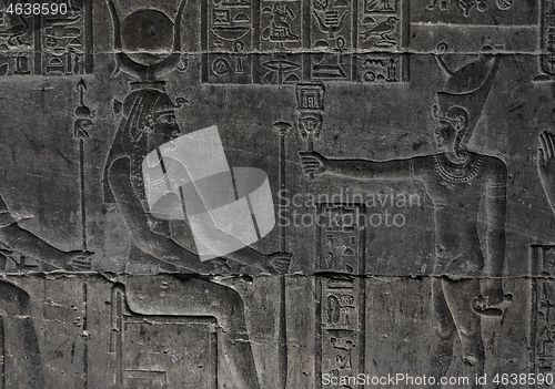 Image of Hieroglyphic egypt carvings on wall