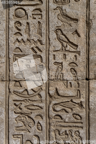 Image of ancient egypt hieroglyphics on wall