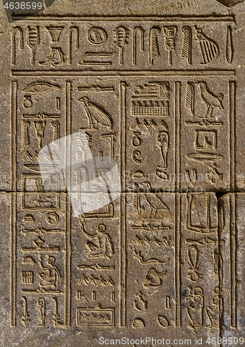 Image of ancient egypt hieroglyphics on wall