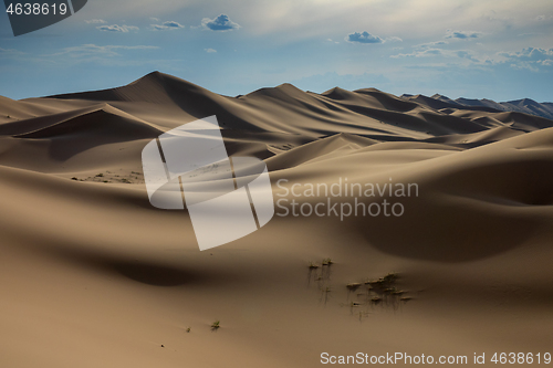 Image of Sand dunes in Gobi Desert at sunset