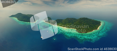 Image of Beach corals and sea on tropical islands