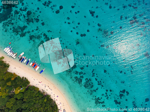 Image of Beach corals and sea on tropical island