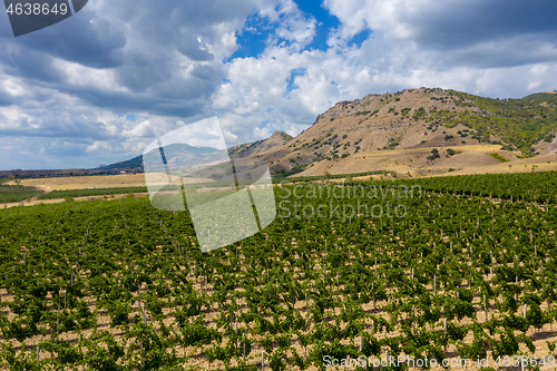 Image of Aerial view of mountain vineyard in Crimea