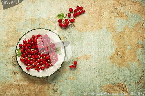 Image of Red currant berry