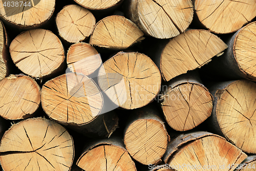 Image of Firewood pile stacked chopped wood trunks