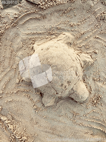Image of a turtle made of sand