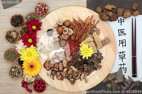 Image of Traditional Chinese Herbs used in Herbal  Medicine