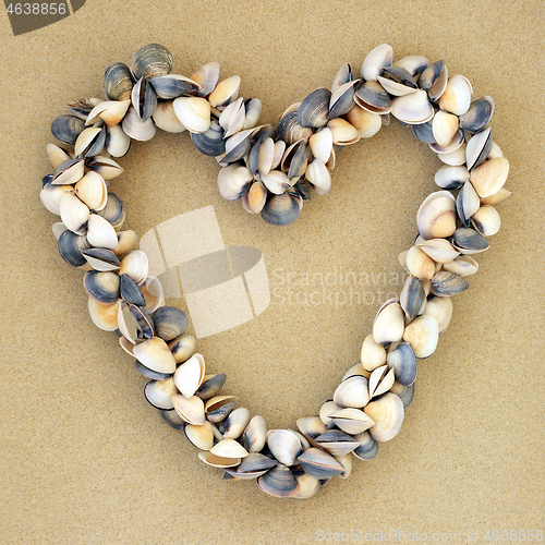 Image of Heart Shaped Clam Shell Wreath