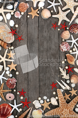 Image of Seashell Abstract Background Border
