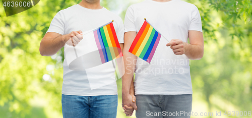 Image of male couple with gay pride flags holding hands