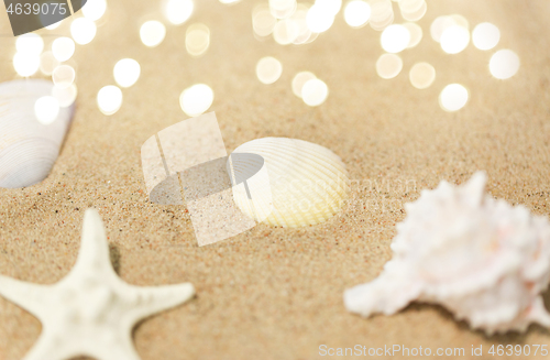 Image of seashells on beach sand