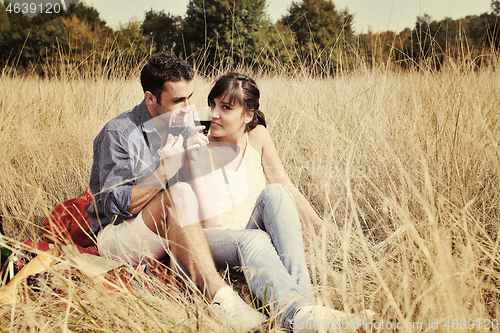 Image of happy couple enjoying countryside picnic in long grass