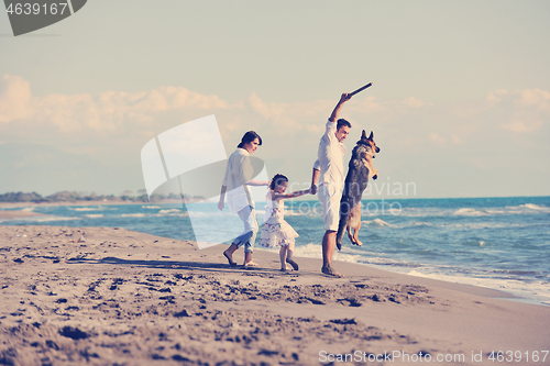 Image of happy family playing with dog on beach