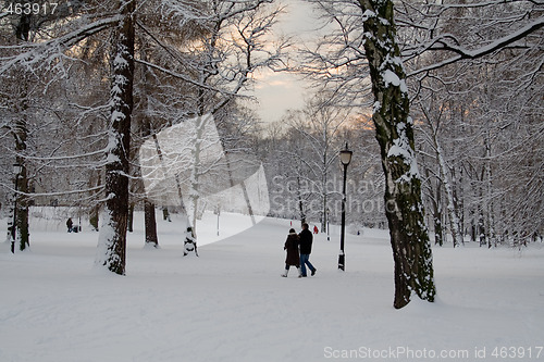 Image of Winter in the park