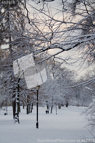 Image of Winter in the park