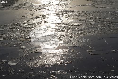 Image of Ice covered sea