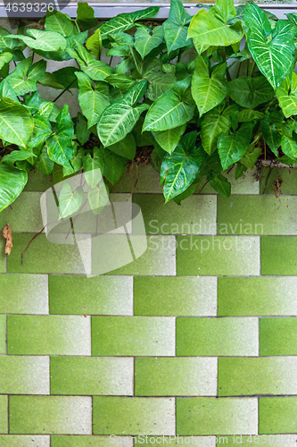 Image of Green Tiles