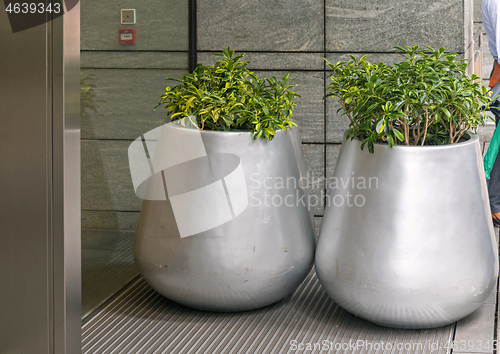 Image of Two Silver Pots