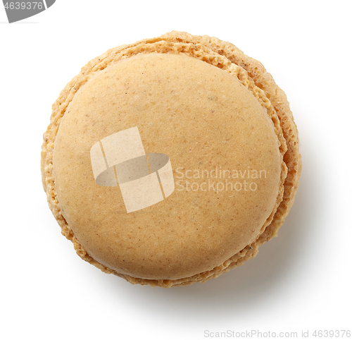 Image of vanilla macaroon on white background