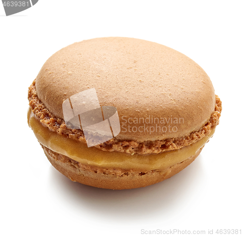 Image of caramel macaroon on white background