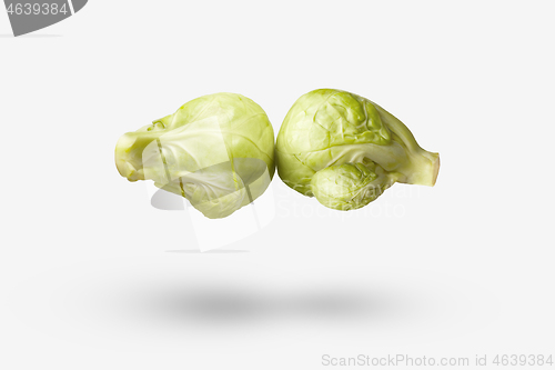 Image of Boxing creative gloves in the shape of natural organic floating cabbages.