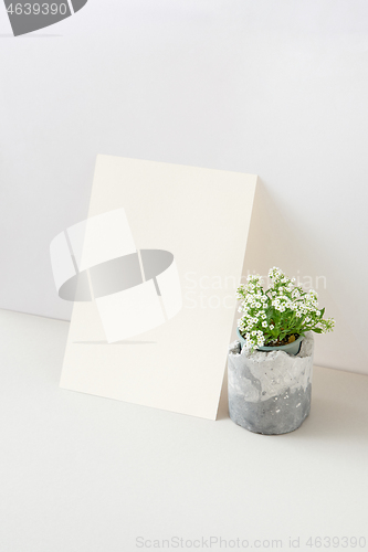 Image of Greeting card with blooming houseplant and blank paper sheet.