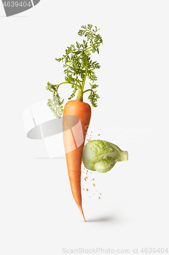 Image of Natural cabbage as a boxing glove is punching carrot vegetable.
