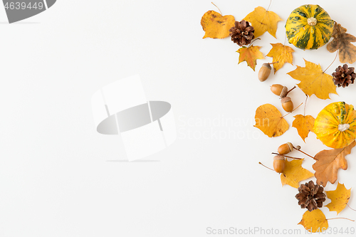 Image of autumn leaves, chestnuts, acorns and pumpkins