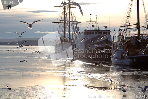Image of Seagulls and boats