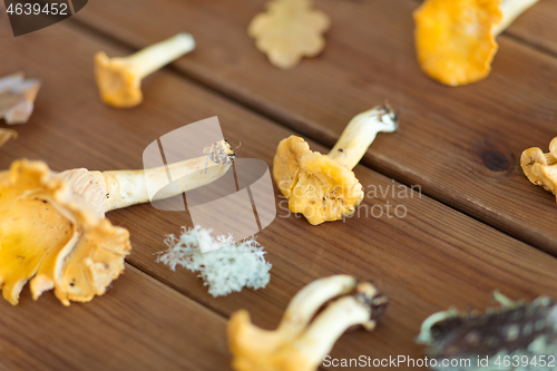 Image of chanterelles on wooden background