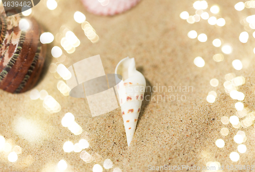 Image of seashells on beach sand