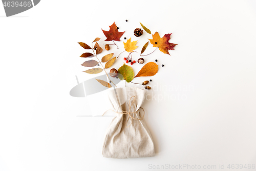 Image of autumn leaves, chestnuts, acorns, berries and bag