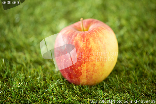 Image of close up of ripe red apple on artificial grass