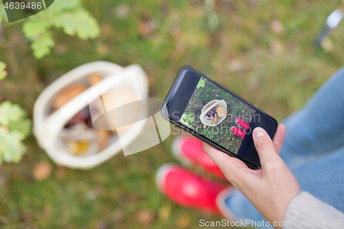 Image of close up of woman photographing mushrooms