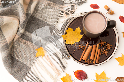 Image of hot chocolate, autumn leaves and warm blanket