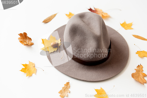 Image of hat and fallen autumn leaves on white background