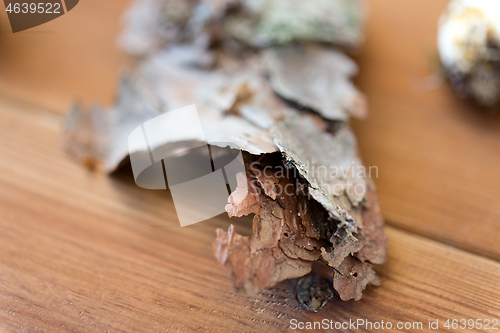 Image of close up of pine tree bark on wooden background