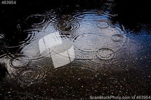 Image of Raindrops in puddle