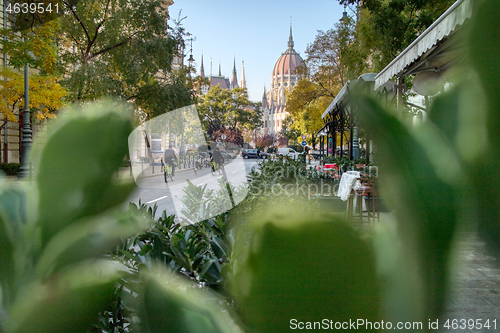 Image of Urban view through green plant to Hungarian paliament building.